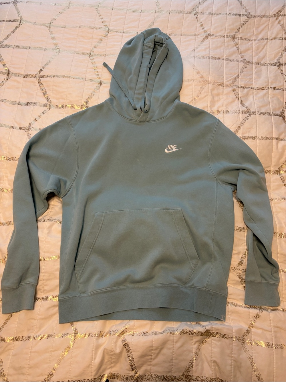 Nike Women's Dusty Teal Pullover Hoodie
